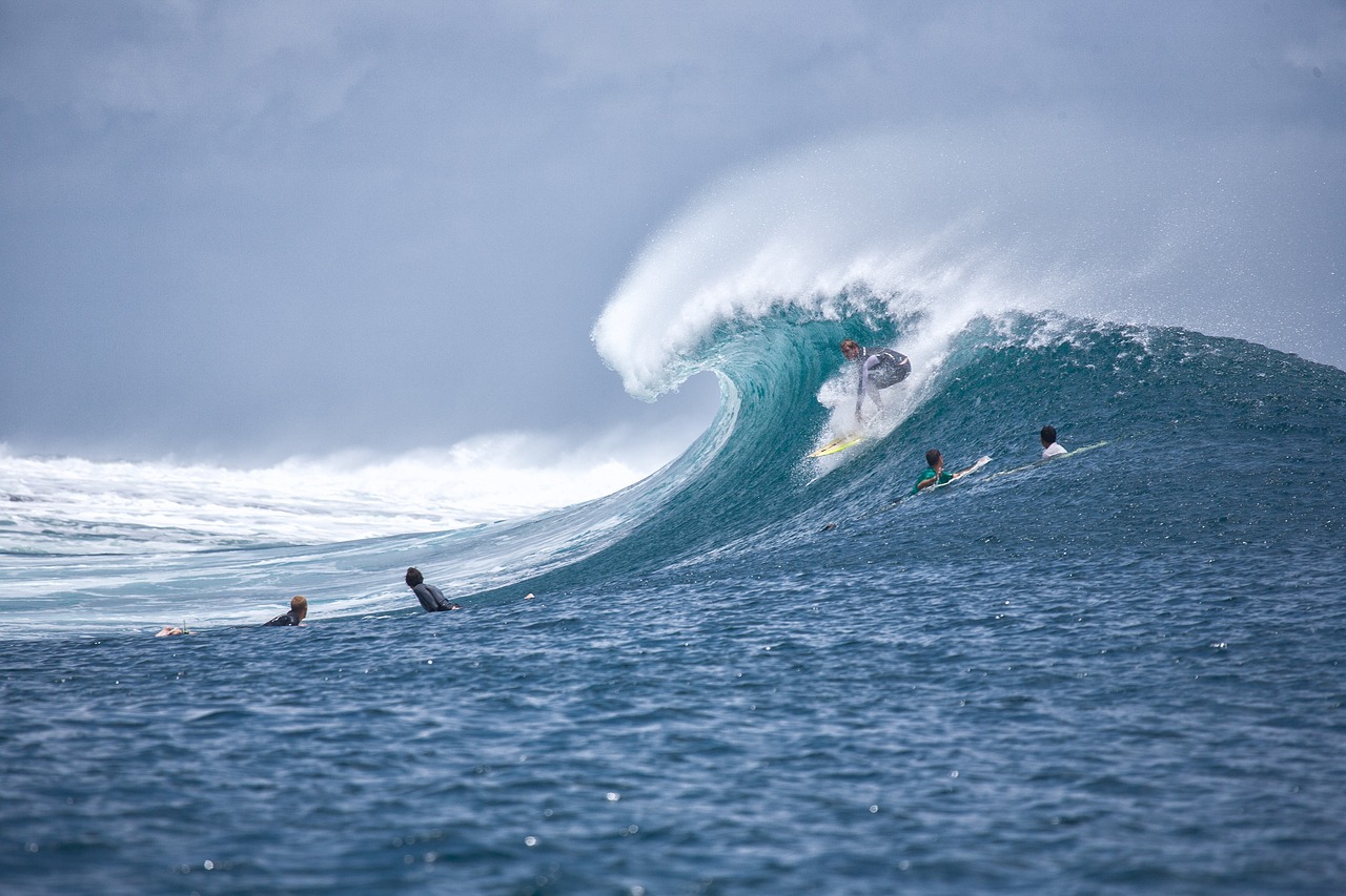 Surfing the Wave of Change